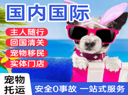 西宁机场快递国际宠物托运 【国